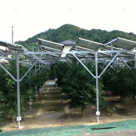 Fazenda Solar Estrutura